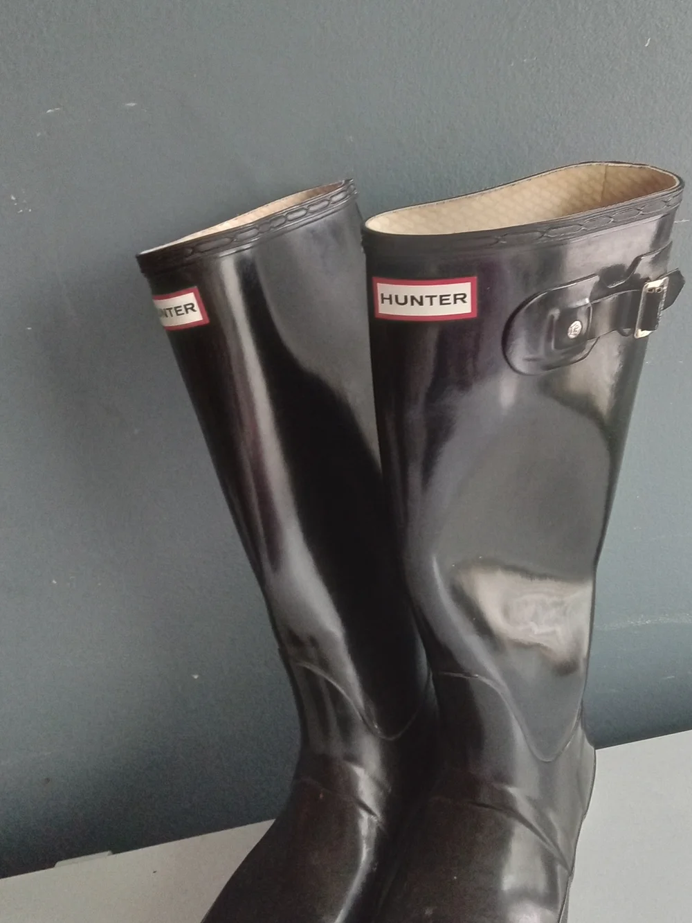 Hunter classic tall
